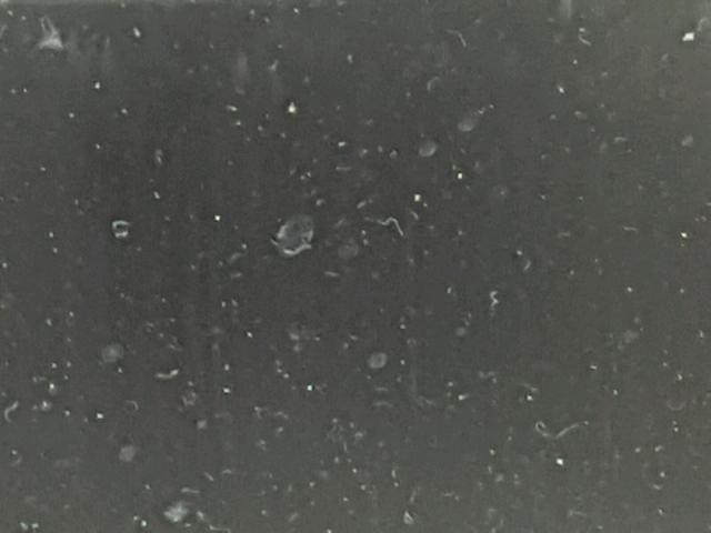 2G4GK5EX4E9228023 - 2014 BUICK REGAL RED photo 8