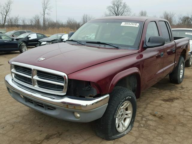 1D7HG48N13S239657 - 2003 DODGE DAKOTA QUA BURGUNDY photo 2