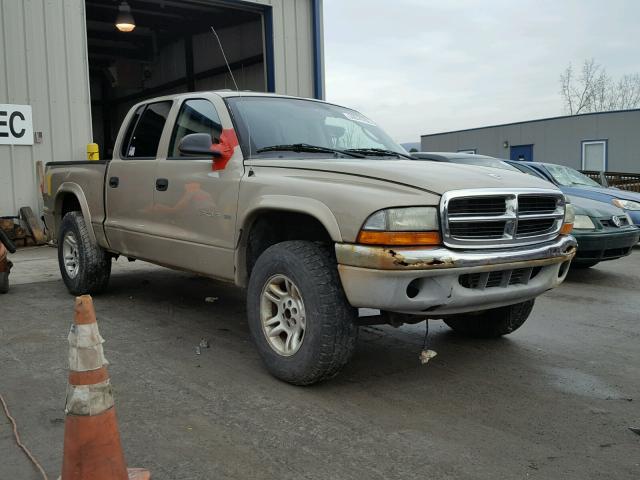 1B7HG48X62S626795 - 2002 DODGE DAKOTA QUA GOLD photo 1