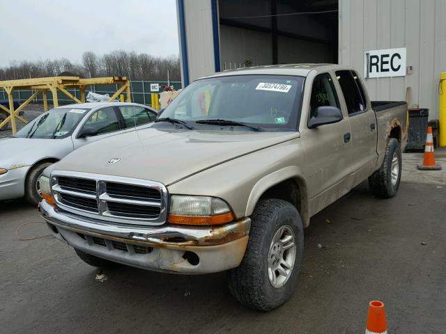 1B7HG48X62S626795 - 2002 DODGE DAKOTA QUA GOLD photo 2