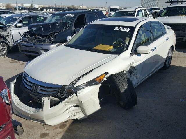 5KBCP3F82BB003978 - 2011 HONDA ACCORD EXL WHITE photo 2