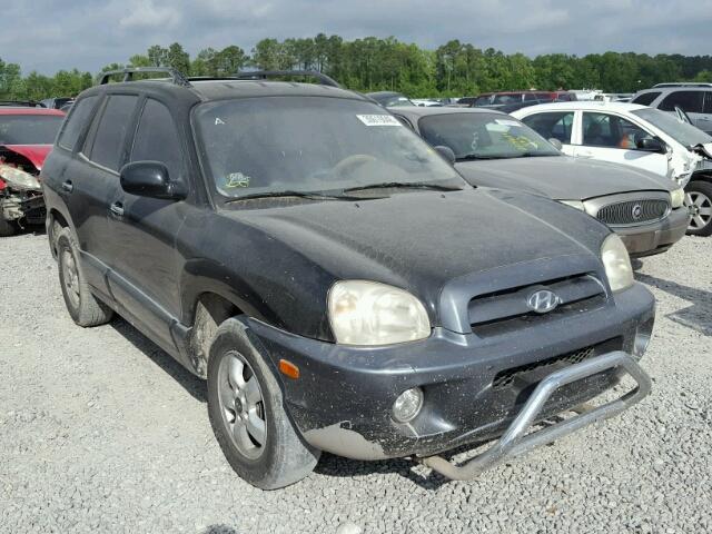 KM8SC13E55U888964 - 2005 HYUNDAI SANTA FE G BLACK photo 1