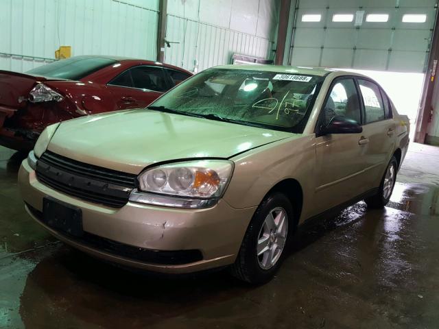 1G1ZT52814F109710 - 2004 CHEVROLET MALIBU LS 金色 照片 2
