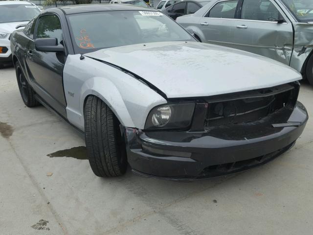 1ZVFT80N365139947 - 2006 FORD MUSTANG BLACK photo 1