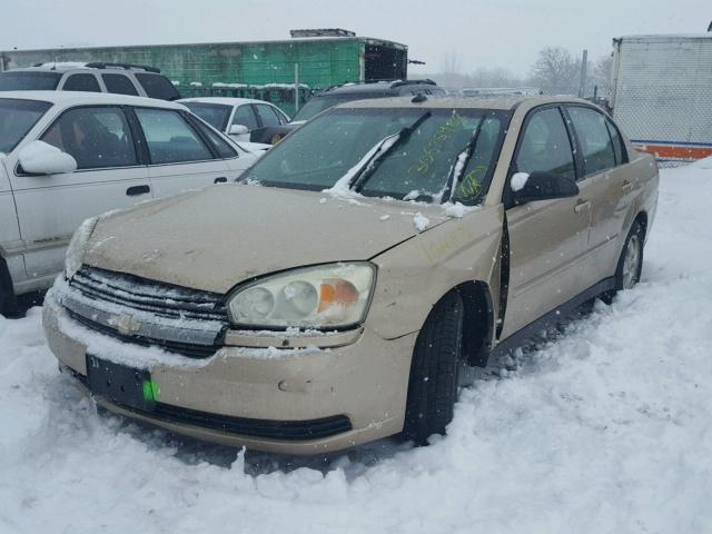 1G1ZT54894F186578 - 2004 CHEVROLET MALIBU LS ოქროსფერი ფოტო 2