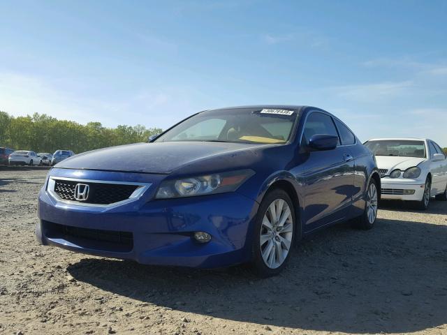 1HGCS22819A006226 - 2009 HONDA ACCORD EXL BLUE photo 2