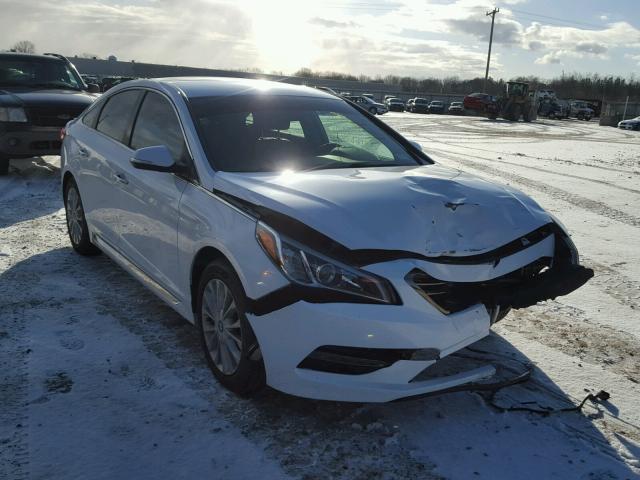 5NPE34AF3FH256880 - 2015 HYUNDAI SONATA SPO WHITE photo 1