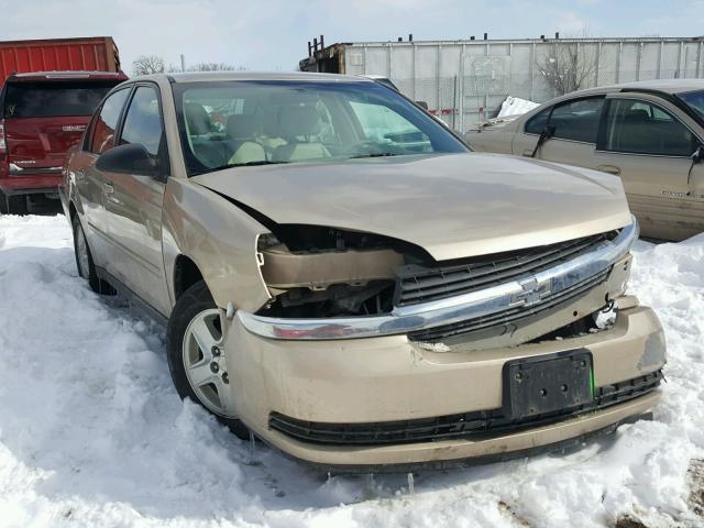 1G1ZT52855F298959 - 2005 CHEVROLET MALIBU LS ოქროსფერი ფოტო 1