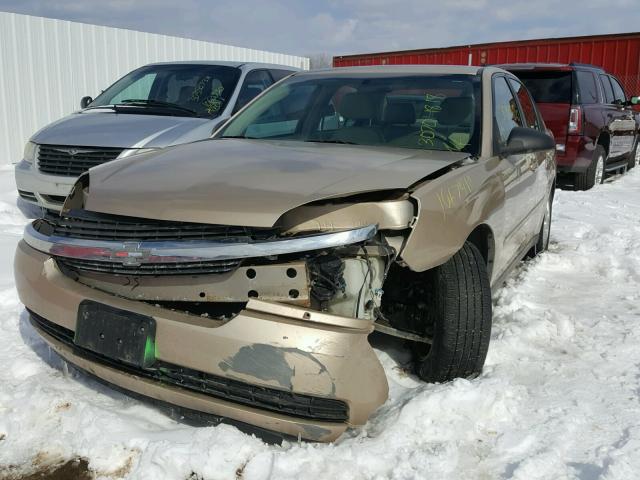 1G1ZT52855F298959 - 2005 CHEVROLET MALIBU LS ოქროსფერი ფოტო 2