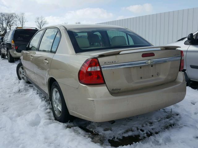 1G1ZT52855F298959 - 2005 CHEVROLET MALIBU LS ოქროსფერი ფოტო 3