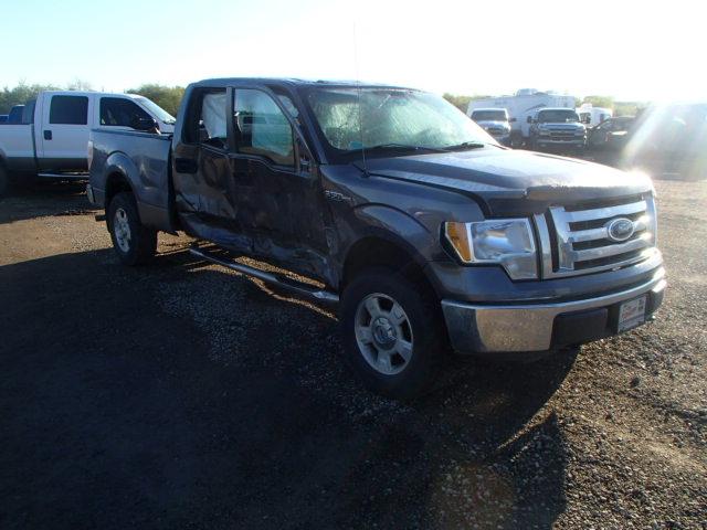 1FTFW1EVXAFD20377 - 2010 FORD F150 SUPER SILVER photo 1