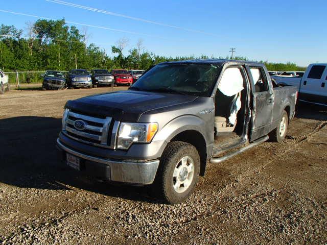 1FTFW1EVXAFD20377 - 2010 FORD F150 SUPER SILVER photo 2