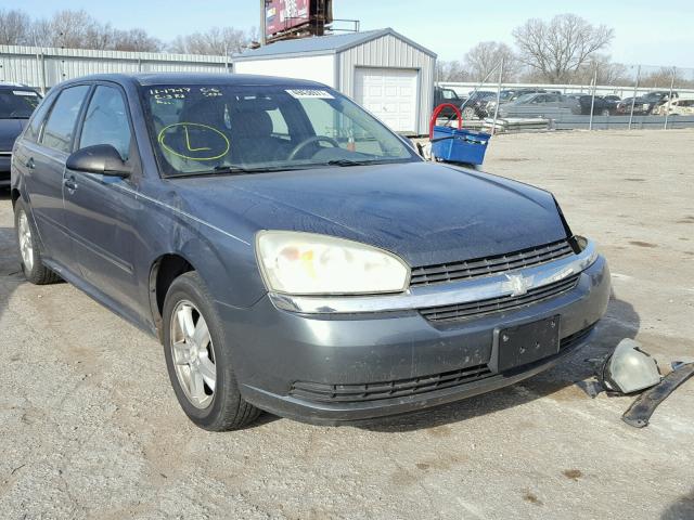 1G1ZT64804F232420 - 2004 CHEVROLET MALIBU MAX 灰色 照片 1