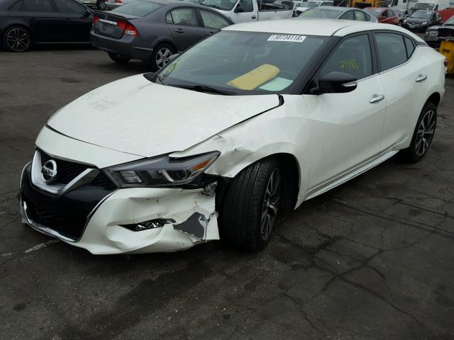 1N4AA6APXGC413185 - 2016 NISSAN MAXIMA 3.5 WHITE photo 2