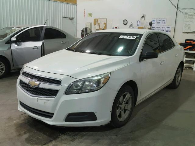 1G11B5SA4DF125547 - 2013 CHEVROLET MALIBU LS თეთრი ფოტო 2