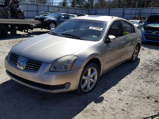 1N4BA41E56C810745 - 2006 NISSAN MAXIMA SE GOLD photo 2