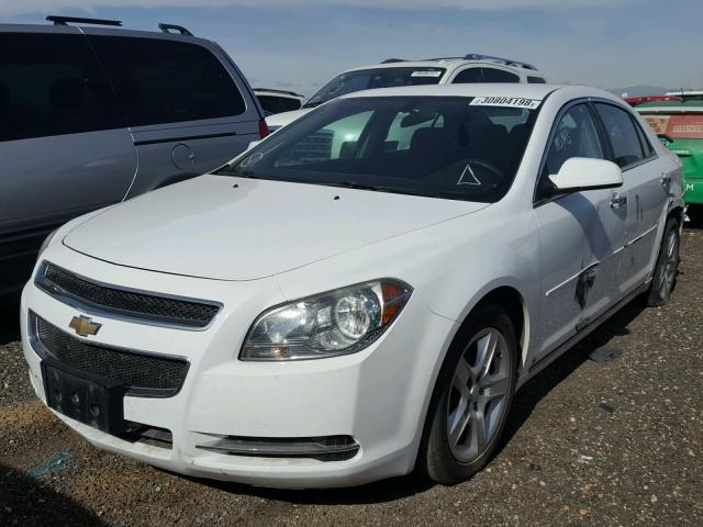 1G1ZH57BX9F128897 - 2009 CHEVROLET MALIBU 1LT 白色 照片 2