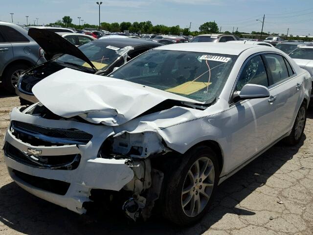 1G1ZE5EU4BF366019 - 2011 CHEVROLET MALIBU LTZ 白色 照片 2
