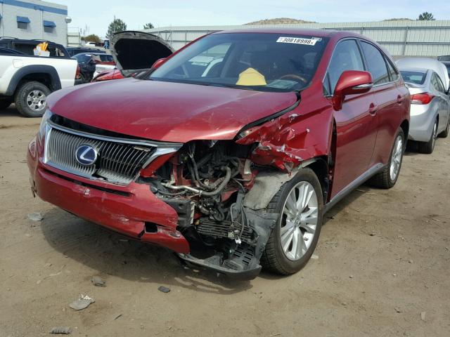 JTJZB1BA1A2003148 - 2010 LEXUS RX 450 RED photo 2