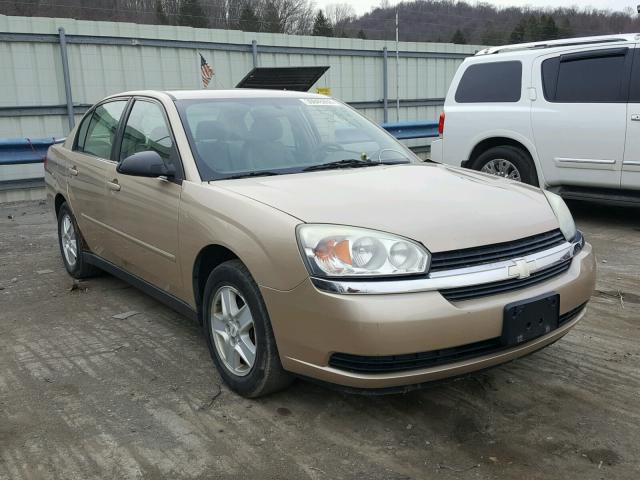 1G1ZT54824F105677 - 2004 CHEVROLET MALIBU LS თაფლისფერი ფოტო 1