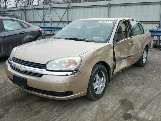 1G1ZT54824F105677 - 2004 CHEVROLET MALIBU LS თაფლისფერი ფოტო 2
