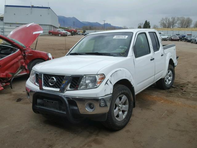 1N6AD0EV8AC408420 - 2010 NISSAN FRONTIER C WHITE photo 2