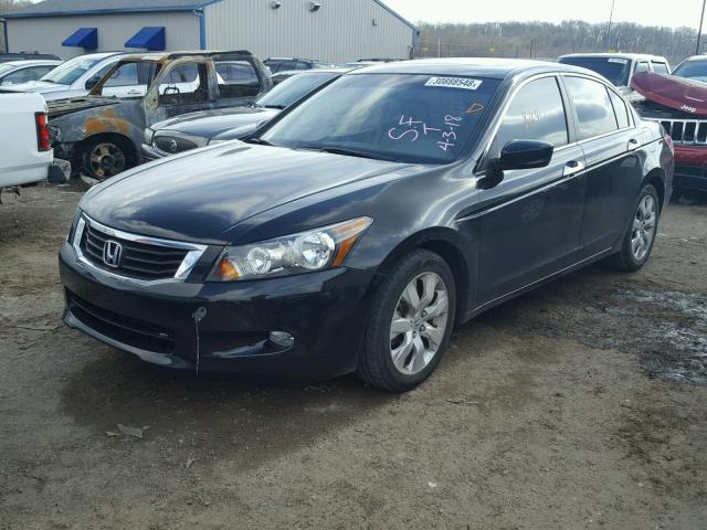 1HGCP36839A051511 - 2009 HONDA ACCORD EXL BLACK photo 2