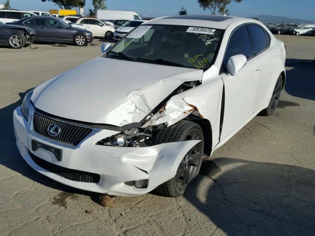 JTHBK262395106240 - 2009 LEXUS IS 250 WHITE photo 2