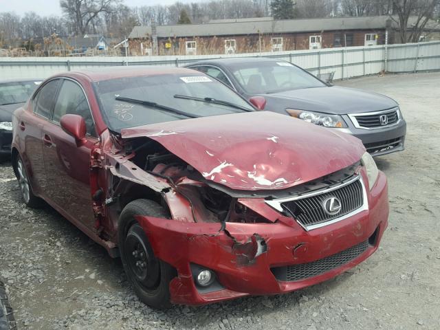 JTHBF5C24B5133995 - 2011 LEXUS IS 250 RED photo 1