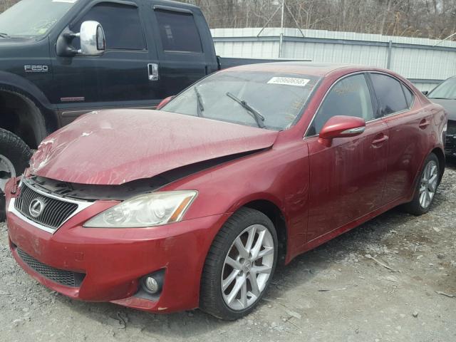 JTHBF5C24B5133995 - 2011 LEXUS IS 250 RED photo 2