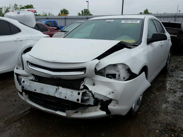 1G1ZA5E05CF147192 - 2012 CHEVROLET MALIBU LS თეთრი ფოტო 2