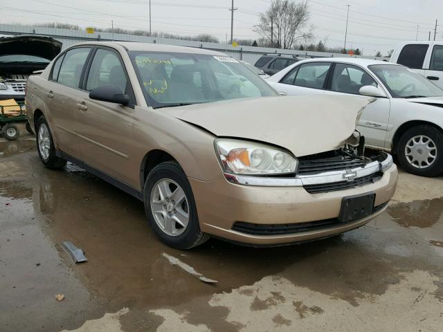 1G1ZT548X5F206029 - 2005 CHEVROLET MALIBU LS ოქროსფერი ფოტო 1
