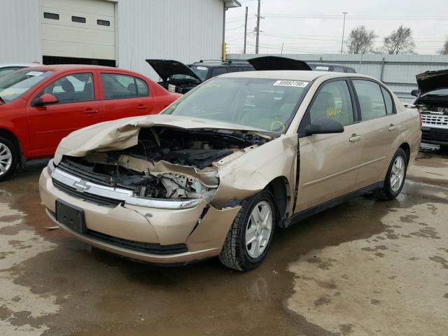 1G1ZT548X5F206029 - 2005 CHEVROLET MALIBU LS ოქროსფერი ფოტო 2