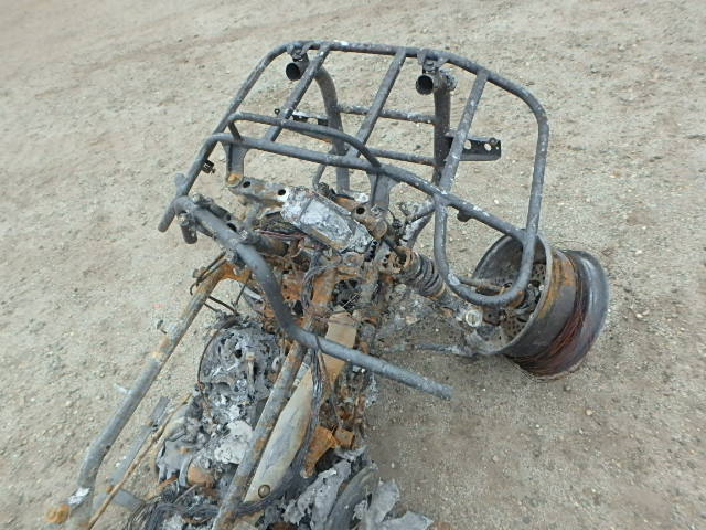 5Y4AJ16Y27A011212 - 2007 YAMAHA YFM450 FWA BURN photo 5