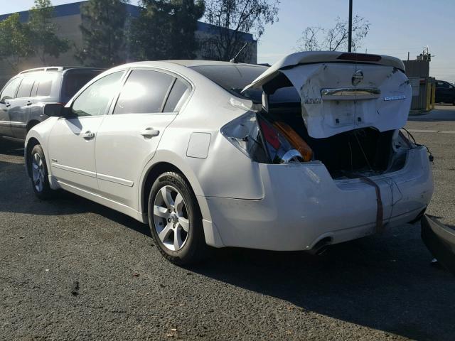 1N4CL21E87C206515 - 2007 NISSAN ALTIMA HYB WHITE photo 3