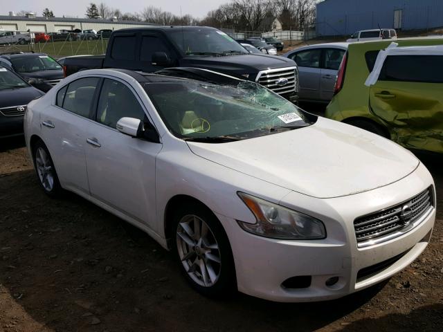 1N4AA5APXAC810414 - 2010 NISSAN MAXIMA S WHITE photo 1