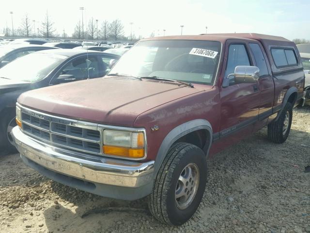 1B7GG23XXTS500612 - 1996 DODGE DAKOTA MAROON photo 2