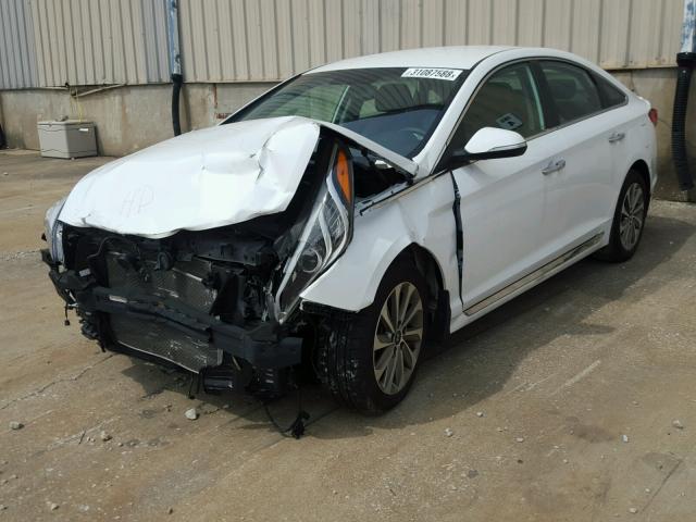 5NPE34AF4FH212757 - 2015 HYUNDAI SONATA SPO WHITE photo 2