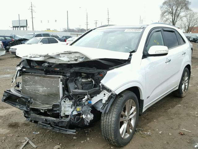 5XYKWDA71FG636441 - 2015 KIA SORENTO SX WHITE photo 2