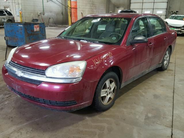 1G1ZT54865F161655 - 2005 CHEVROLET MALIBU LS წითელი ფოტო 2