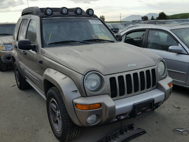 1J8GL38K54W239441 - 2004 JEEP LIBERTY RE GOLD photo 1