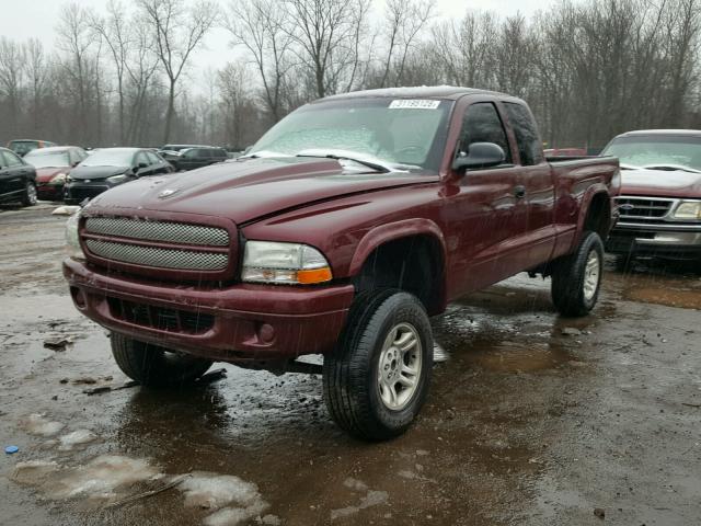 1D7HG12X93S239852 - 2003 DODGE DAKOTA SXT MAROON photo 2