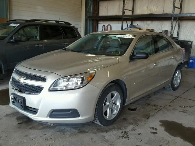 1G11A5SA8DF312261 - 2013 CHEVROLET MALIBU LS 金色 照片 2