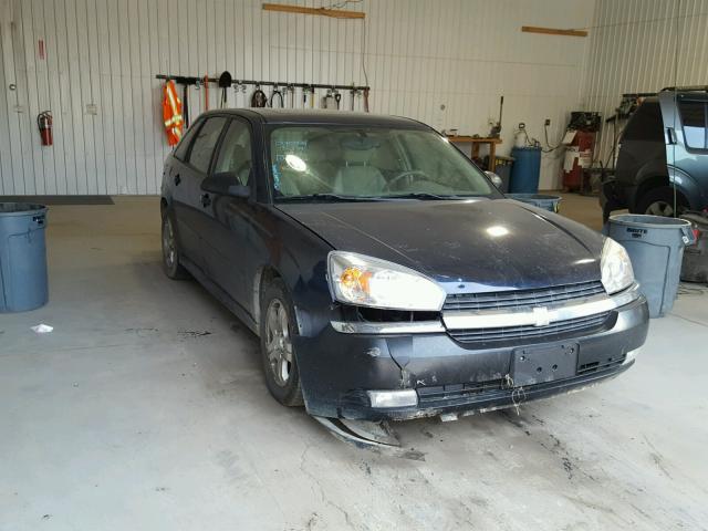 1G1ZU64864F183902 - 2004 CHEVROLET MALIBU MAX BLUE photo 1