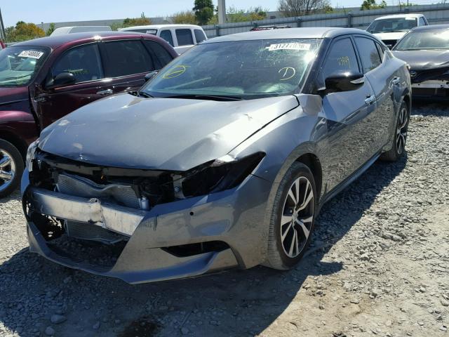 1N4AA6AP4GC905517 - 2016 NISSAN MAXIMA 3.5 GRAY photo 2