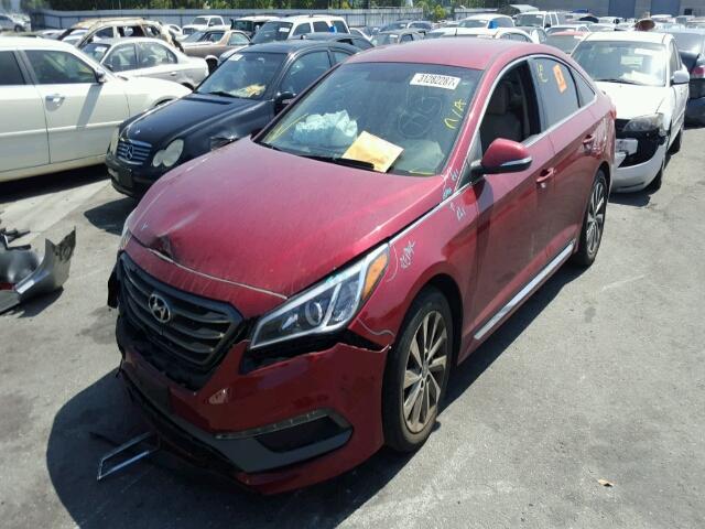 5NPE34AF1FH106752 - 2015 HYUNDAI SONATA SPO RED photo 2