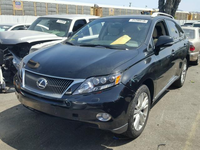 JTJBC1BA8A2008555 - 2010 LEXUS RX 450 BLACK photo 2