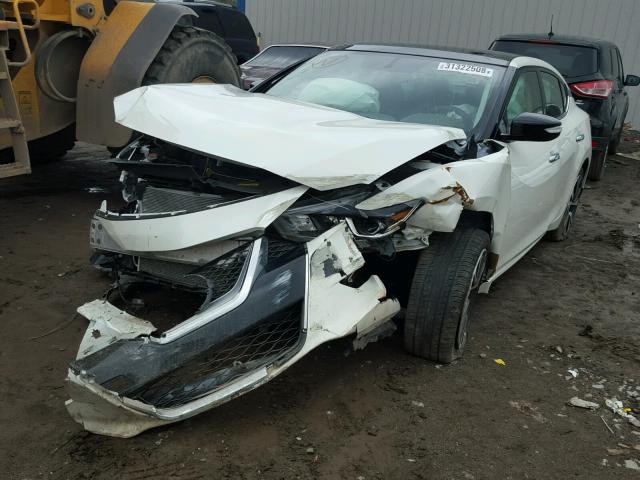 1N4AA6AP8HC427541 - 2017 NISSAN MAXIMA 3.5 WHITE photo 2