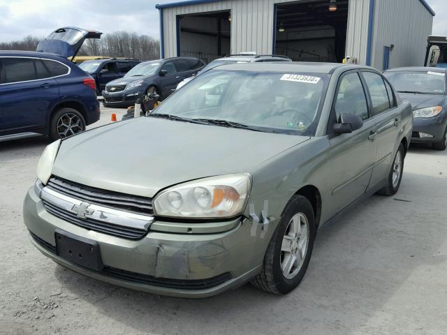 1G1ZT54855F291460 - 2005 CHEVROLET MALIBU LS მწვანე ფოტო 2