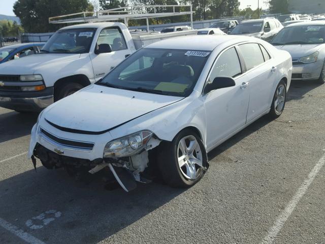 1G1ZB5E14BF256781 - 2011 CHEVROLET MALIBU LS 白色 照片 2
